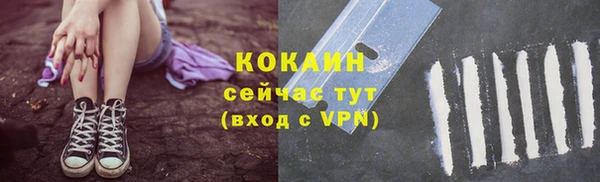 шишки Алексин