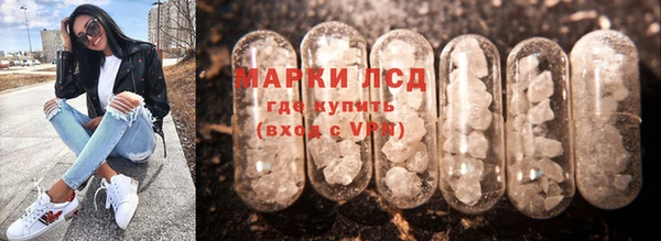 шишки Алексин