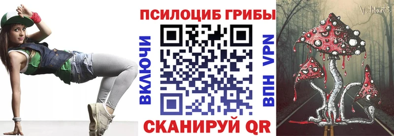 купить наркотик  Чусовой  Псилоцибиновые грибы GOLDEN TEACHER 